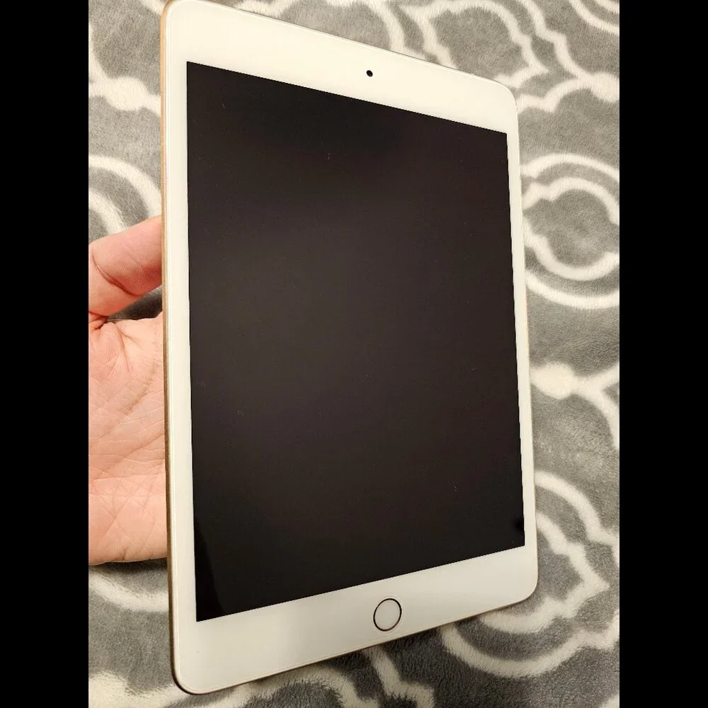 Apple iPad Mini 5 5th Gen 256GB Cellular & AirPods 2nd Gen Complete + Extras Lot
